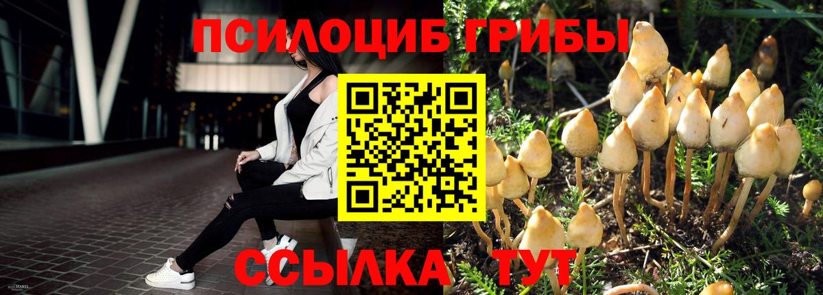 Галлюциногенные грибы мухоморы  Вход с VPN  Горно-Алтайск 